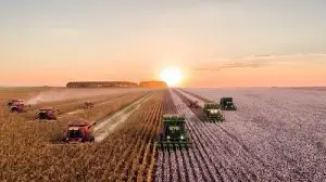pib do agronegócio