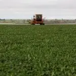 Plantação de soja