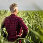 agricultura