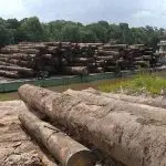 agu, amazônia, desmatamento, bloqueio financeiro, ação civil pública