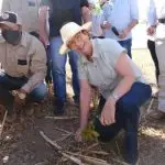 arroz, tereza cristina, ministério da agricultura, safra, cesta básica