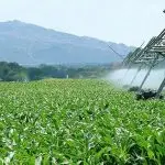 agropecuária - vbp - cna