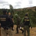 hamilton mourão, amazônia, operação verde brasil 2, desmatamento, ibama, icmbio