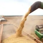 Brasil produzir grãos