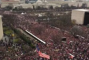 donald trump, manifestação, washington, maga