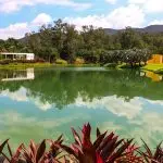 Inhotim - parque- Minas Gerais