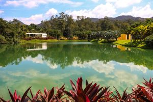 Inhotim - parque- Minas Gerais