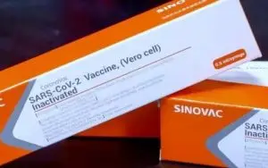 coronavac - voluntário morto por intoxicação