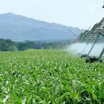 agro - brasil