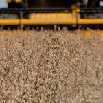 brexit - cna - agronegócio brasileiro