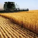 PIB agrícola