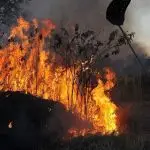 queimadas e incêndios na américa do sul - argetina X brasil