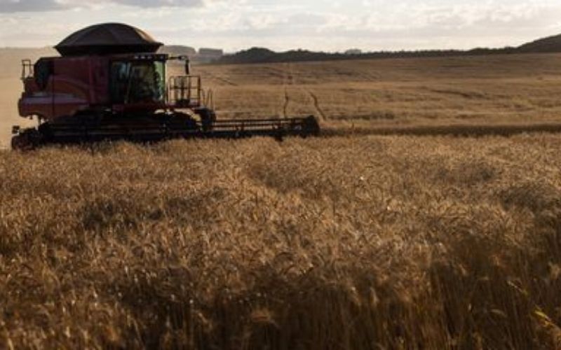 agro brasileiro - emprego