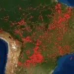 brasil mapa - fake news - facebook - agências de checagem - desafio
