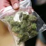 maconha