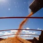 ibge - agronegócio - recorde de produção de grãos