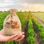 Fiagros Bradesco Agronegócio Brasil