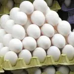 Produção de ovos