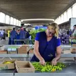 Ceagesp registrou lucro