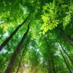 Licenciamento ambiental