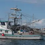 barco de pesca- pescaria
