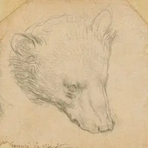 leonardo da vinci