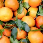 laranja