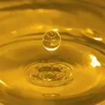 biodiesel