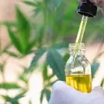 maconha cannabis