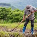 cna crédito rural