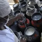 Produtor de Leite