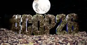 COP26