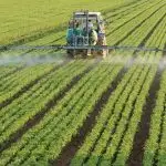 caro fertilizantes