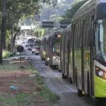 greve dos ônibus