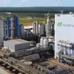 suzano celulose