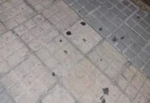 torcedor flamengo