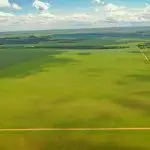 pesticidas