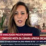 ana paula henkel