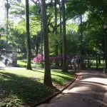 Vacina contra covid-19 vai ser aplicada em parques