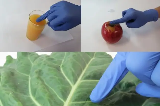 Pesticidas