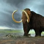 mamutes