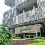 Petrobras dividendos