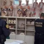 Tráfico de órgãos