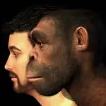 Descoberta