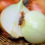 cebola