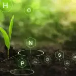 fertilizantes