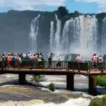 Leilão
