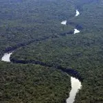 Governo lança operação contra o desmatamento na Amazônia