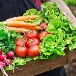 Alimentos orgânicos