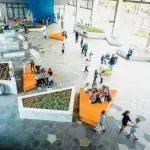 Escola